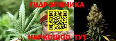 крисы Балахна