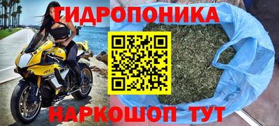 крисы Балахна