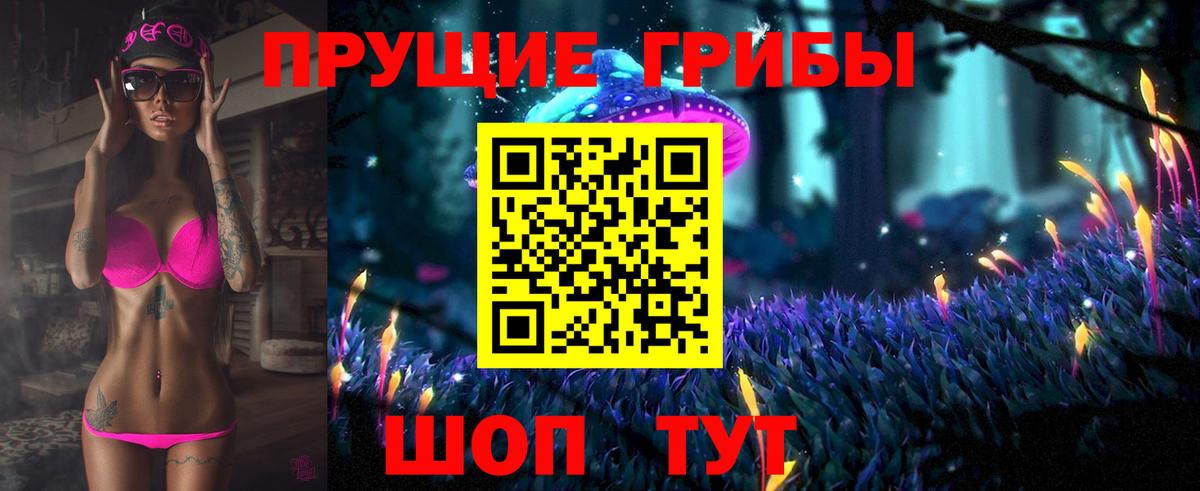 Псилоцибиновые грибы мицелий Вичуга